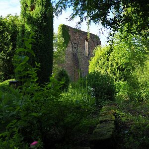 P5300553 (2)n.JPG
