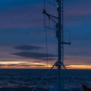 AL557-116.jpg