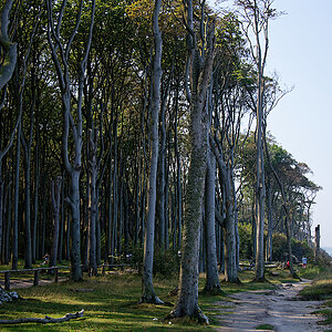 KSW_3741.jpg