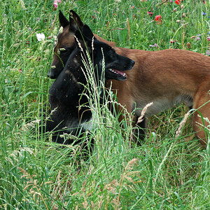 P1000010.jpg