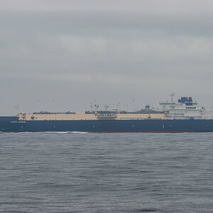 AL557 -141.jpg