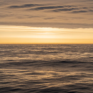 AL557 -147.jpg