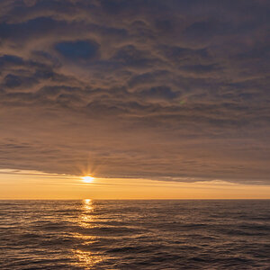 AL557 -151.jpg