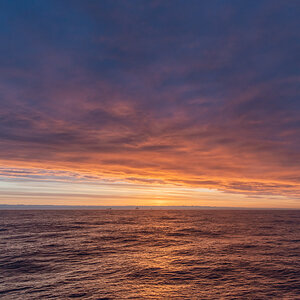 AL557 -154.jpg