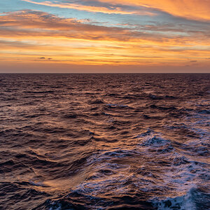 AL557-167.jpg