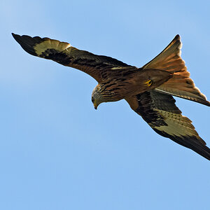 OF5_10953.jpg