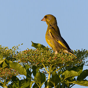 OF5_12895.jpg