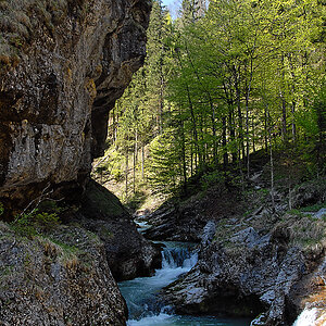 DSC_2086.jpg