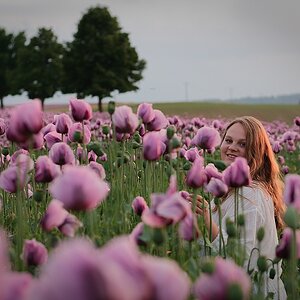 Mohn II