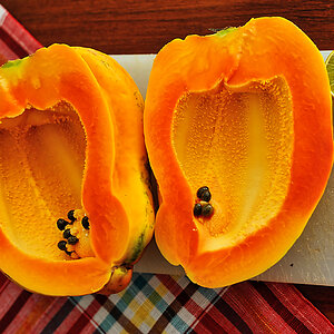 Papaya 2.jpg