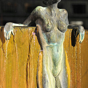 DSC_1526.jpg