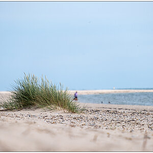 309 Sylt – Ellenbogen: Pause am Strand
