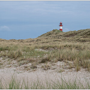 310 Sylt – Ellenbogen: Leuchtturm List Ost hinten in der Dünenlandschaft