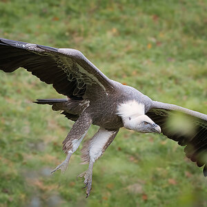 DSC_1845-Bearbeitet-1.jpg