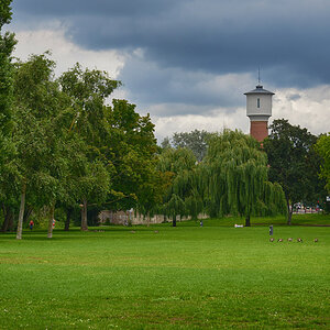 Neckarwiese_ladenburg_1200.jpg