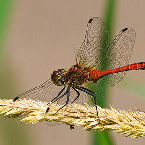 OF5_13940.jpg