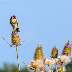 D72_2155-Bearbeitet-Bearbeitet.jpg