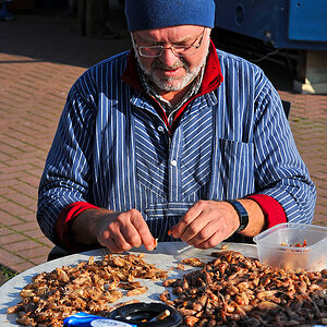 Nordseekrabbenpuler.jpg