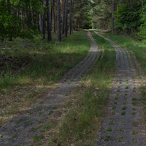 Grenzweg (1 von 1).JPG