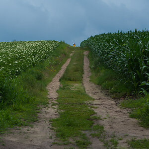 Feldspaziergang (1 von 1).JPG