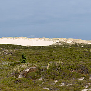 316 Sylt – Ellenbogenstraße Panorama (aus 4 Querformaten)