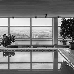 D75_3777.jpg