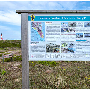 320 Sylt – Hörnum Leuchtturm mit Infotafel Naturschutzgebiet
