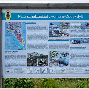 321 Sylt – Infotafel Naturschutzgebiet