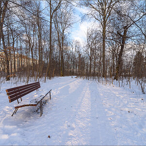 D75_2942.jpg