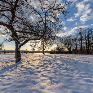 D75_2936-2.jpg