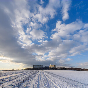 D75_2932-2.jpg
