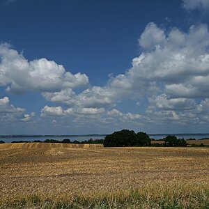 DSC_0634.jpg