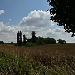 DSC_0648.jpg