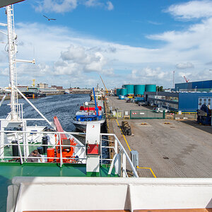 AL557-181.jpg