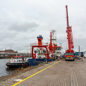 AL557-183.jpg