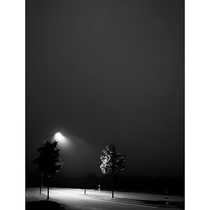 SasaDSC_2677.jpg