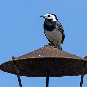OF5_13899.jpg