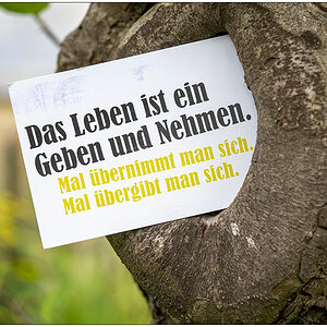 341 Das Leben ist ein Geben und Nehmen