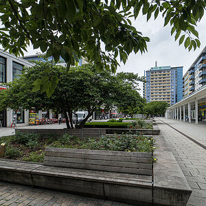 OLY14084_1.jpg