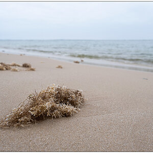 342 Sylt – Hörnum Odde Strand