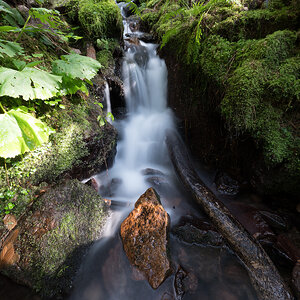 Z62_2493.jpg