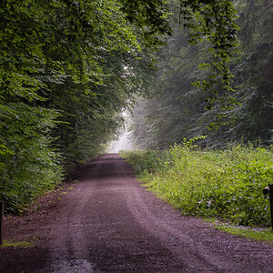 Im Lüßwald 1 (1 von 1).JPG