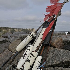 Steuerer_Ruegen.jpg