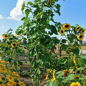 OF5_14854.jpg