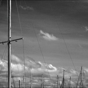 comp_Sailing-SW.jpg