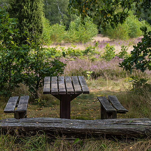 Heidebank (1 von 1).JPG