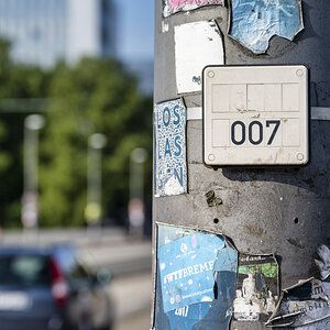 _Z7F2842_170#.JPG