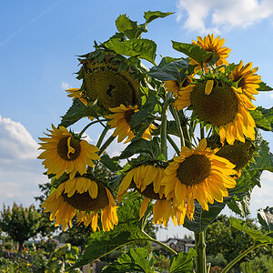 OF5_14847.jpg
