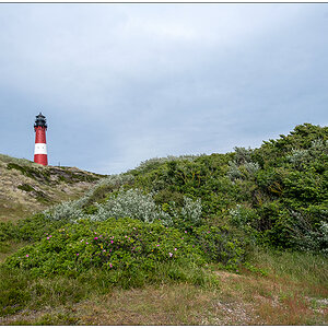 354 Sylt – Hörnum Leuchtturm mit Düne und Wäldchen