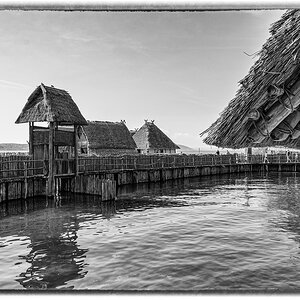 comp_D50_9003-Bearbeitet-2.jpg